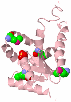 Image Biological Unit 3