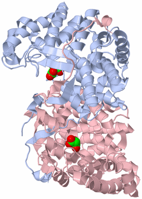 Image Biological Unit 1