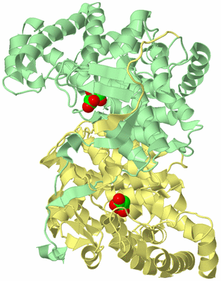 Image Biological Unit 2