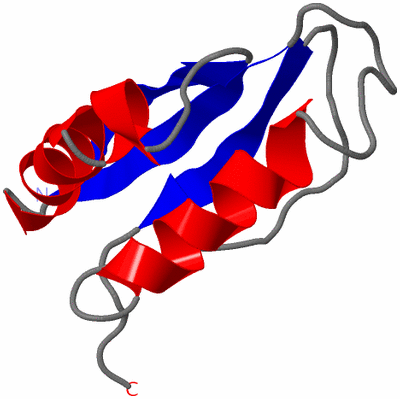 Image NMR Structure - model 1