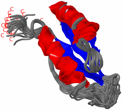 Image NMR Structure - all models