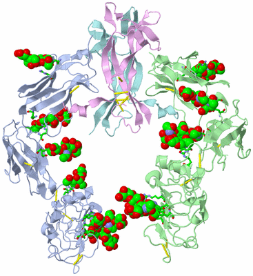 Image Asym./Biol. Unit - sites