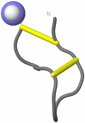 Image NMR Structure - model 1