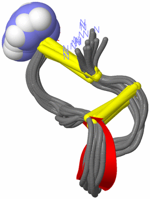 Image NMR Structure - all models