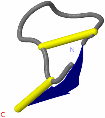 Image NMR Structure - model 1