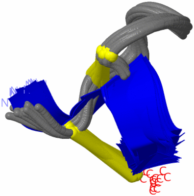 Image NMR Structure - all models