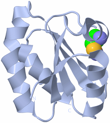 Image Biol. Unit 1 - sites