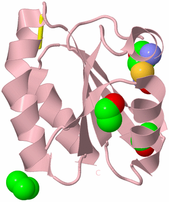 Image Biological Unit 3