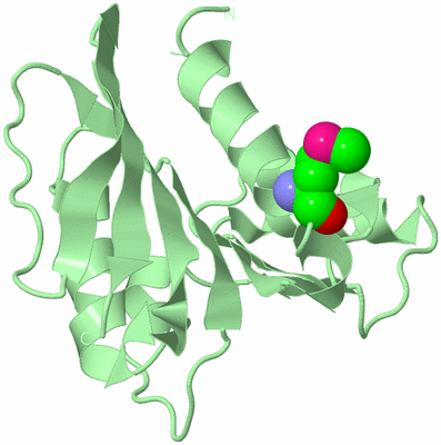 Image Biological Unit 2