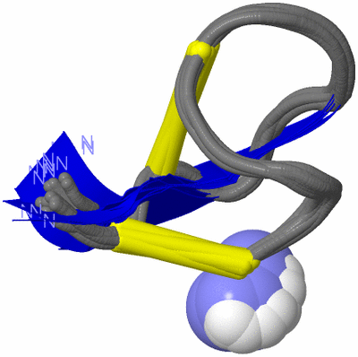 Image NMR Structure - all models