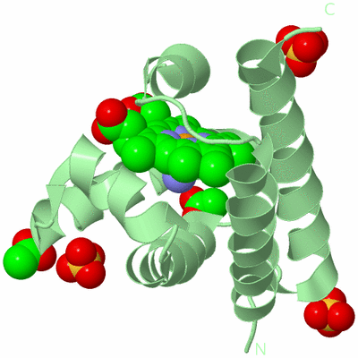 Image Biological Unit 2