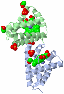 Image Biological Unit 3