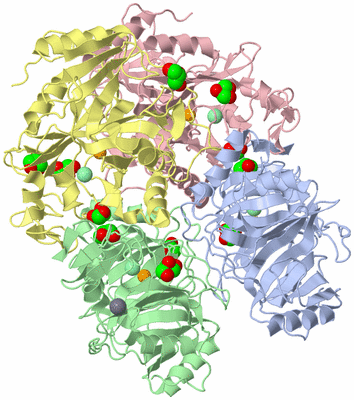 Image Asym./Biol. Unit