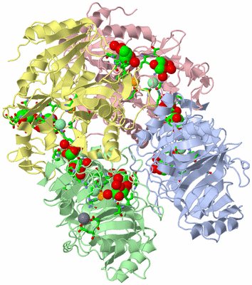 Image Asym./Biol. Unit - sites