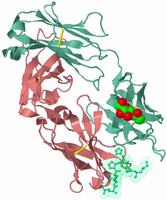 Image Biological Unit 1