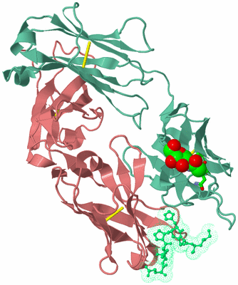 Image Biol. Unit 1 - sites