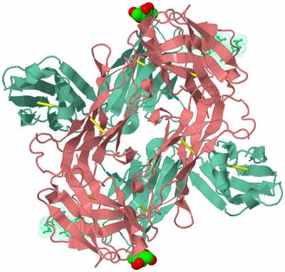 Image Biological Unit 2