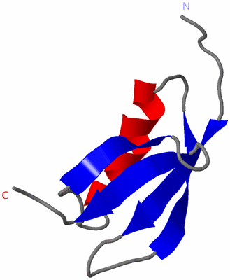 Image NMR Structure - model 1