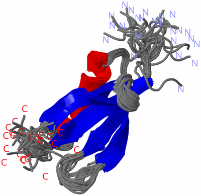 Image NMR Structure - all models