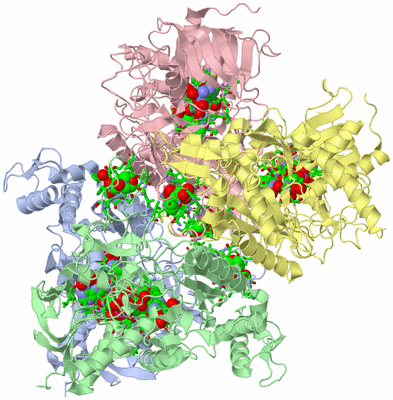 Image Biol. Unit 1 - sites