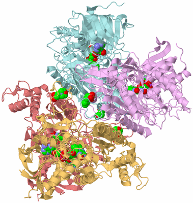 Image Biological Unit 2