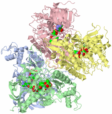 Image Biological Unit 1