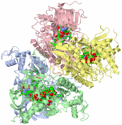 Image Biol. Unit 1 - sites