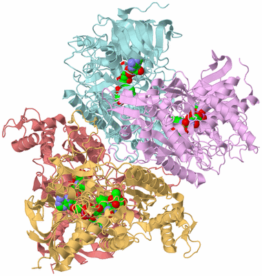 Image Biological Unit 2