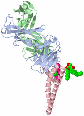 Image Asymmetric Unit