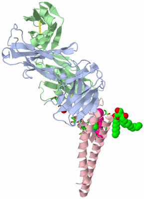 Image Asym. Unit - sites