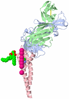 Image Asymmetric Unit