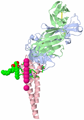 Image Asym. Unit - sites