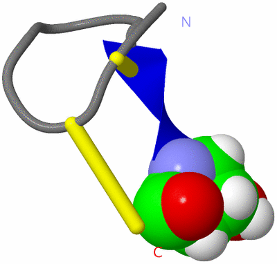 Image NMR Structure - model 1