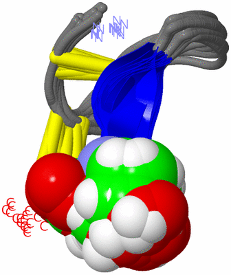 Image NMR Structure - all models