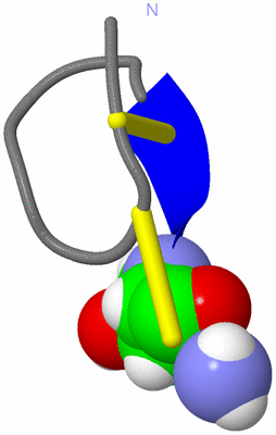 Image NMR Structure - model 1