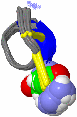 Image NMR Structure - all models