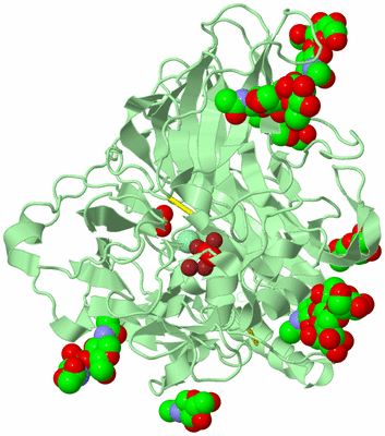 Image Biological Unit 2