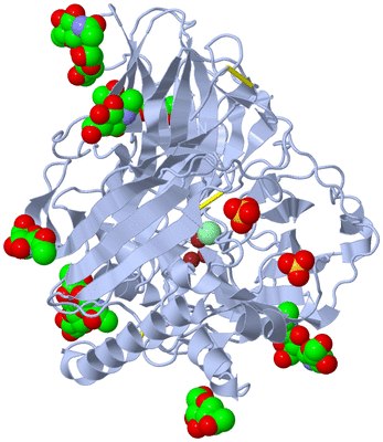 Image Biological Unit 1