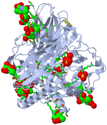 Image Biol. Unit 1 - sites