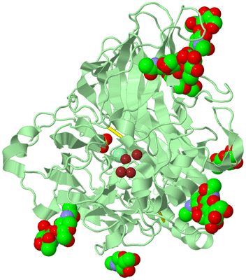 Image Biological Unit 2