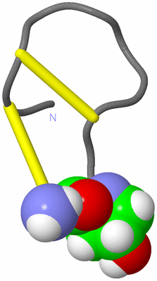 Image NMR Structure - model 1