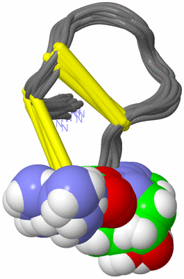 Image NMR Structure - all models