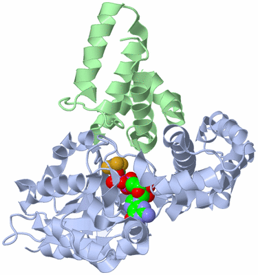 Image Asym./Biol. Unit