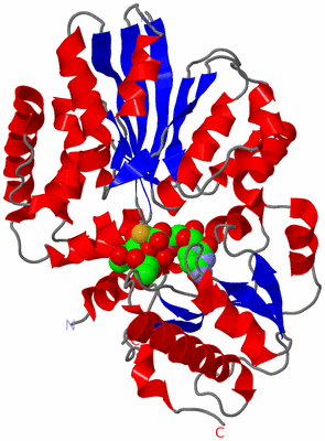 Image Asym./Biol. Unit