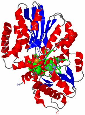 Image Asym./Biol. Unit - sites