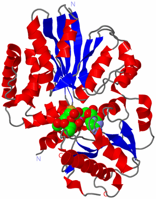 Image Asym./Biol. Unit