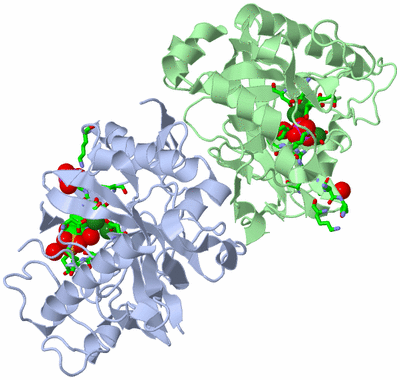 Image Asym./Biol. Unit - sites