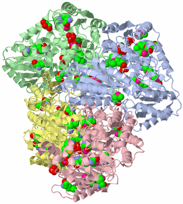 Image Asym./Biol. Unit