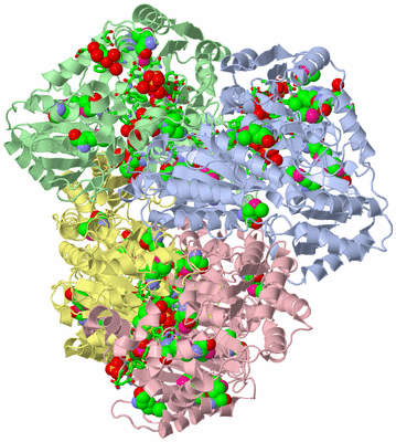 Image Asym./Biol. Unit - sites