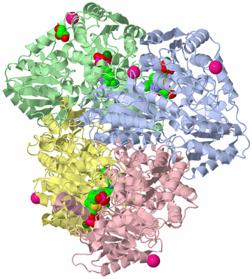 Image Asym./Biol. Unit